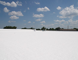 White-flat-roof-1